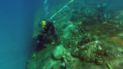 Pics: Surprising WWII shipwreck finds revealed