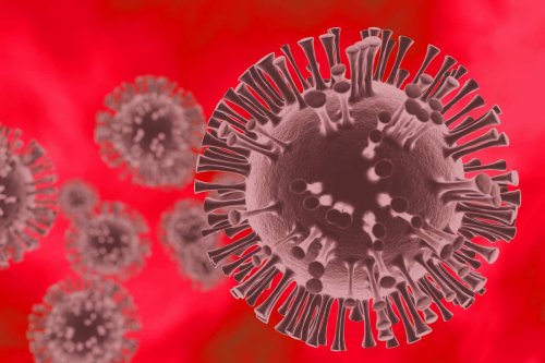 Deadly virus outbreak spreading in spring break locations, CDC warns