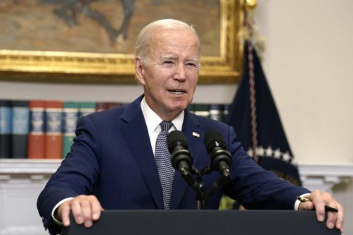 Biden planning 'amnesty' for millions of illegal immigrants, Border Patrol union president warns