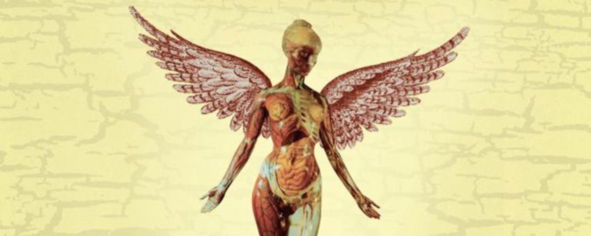 The Story Behind Nirvana's 'In Utero' Album Cover