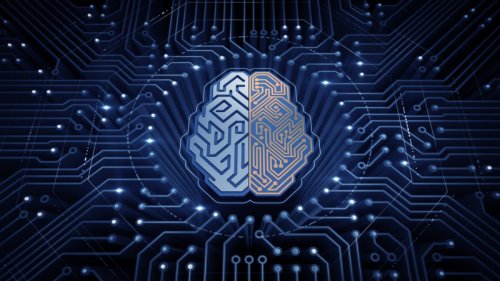 Brain-netting: brainstorm online
