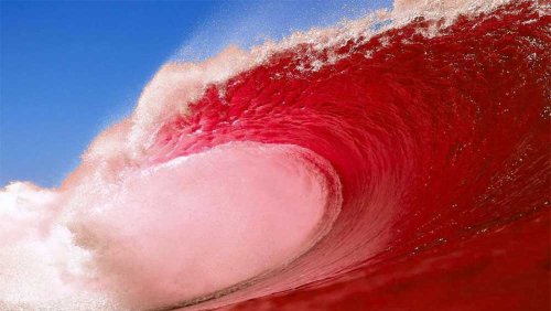 NC Gun Voters Win Big in 2022 Red Wave