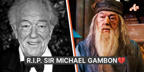 Dumbledore AKA Late Michael Gambon in Last Year Was Seen Smiling After Memory Loss: Photos
