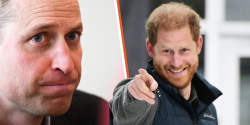 Prince Harry Reportedly Demands an Apology from Prince William