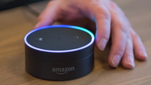 Alexa Saves Young Girl from Monkey Attack, Aims to Aid Older Adults Too