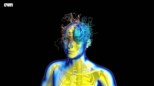 Neuralink would Need up to a Million Electrodes to Make Humans Immortal