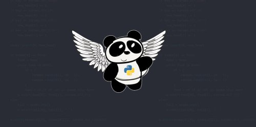 Using Pandas in Python for Data Preprocessing | Speed up Pandas