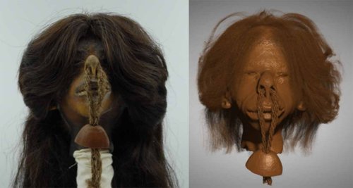 Investigadores prueban que una cabeza encogida es humana