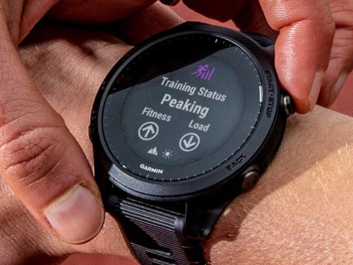 garmin forerunner 45 vs apple watch