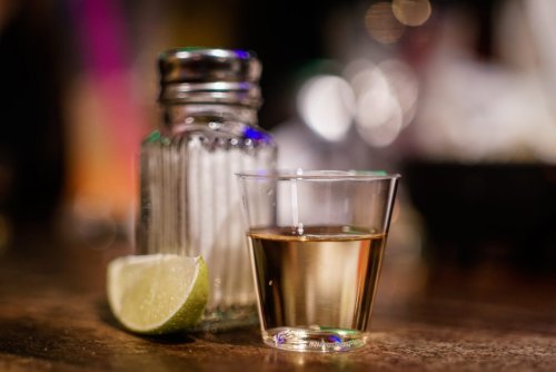 Las diferencias entre tequila, mezcal y otros destilados de agave