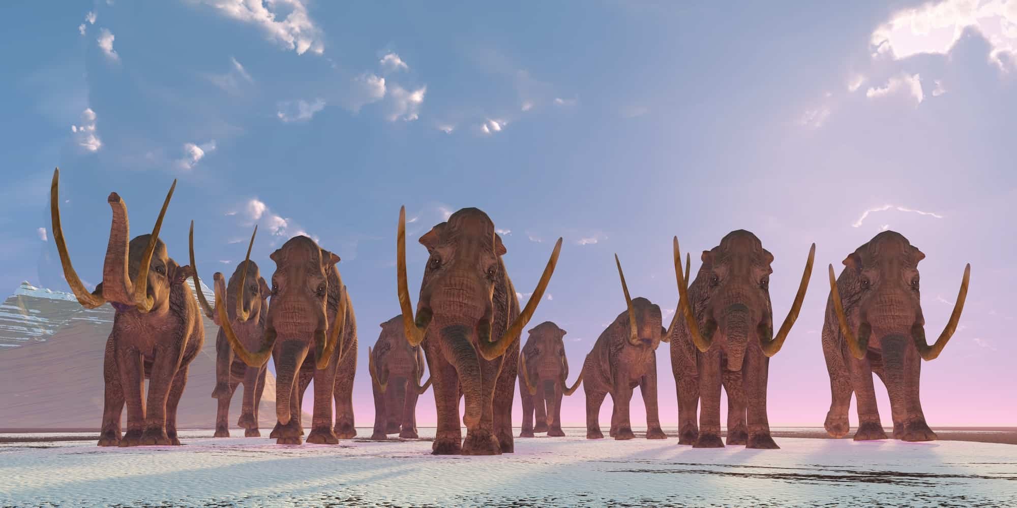Mammoths Vs. Mastodons - Animals Around The Globe