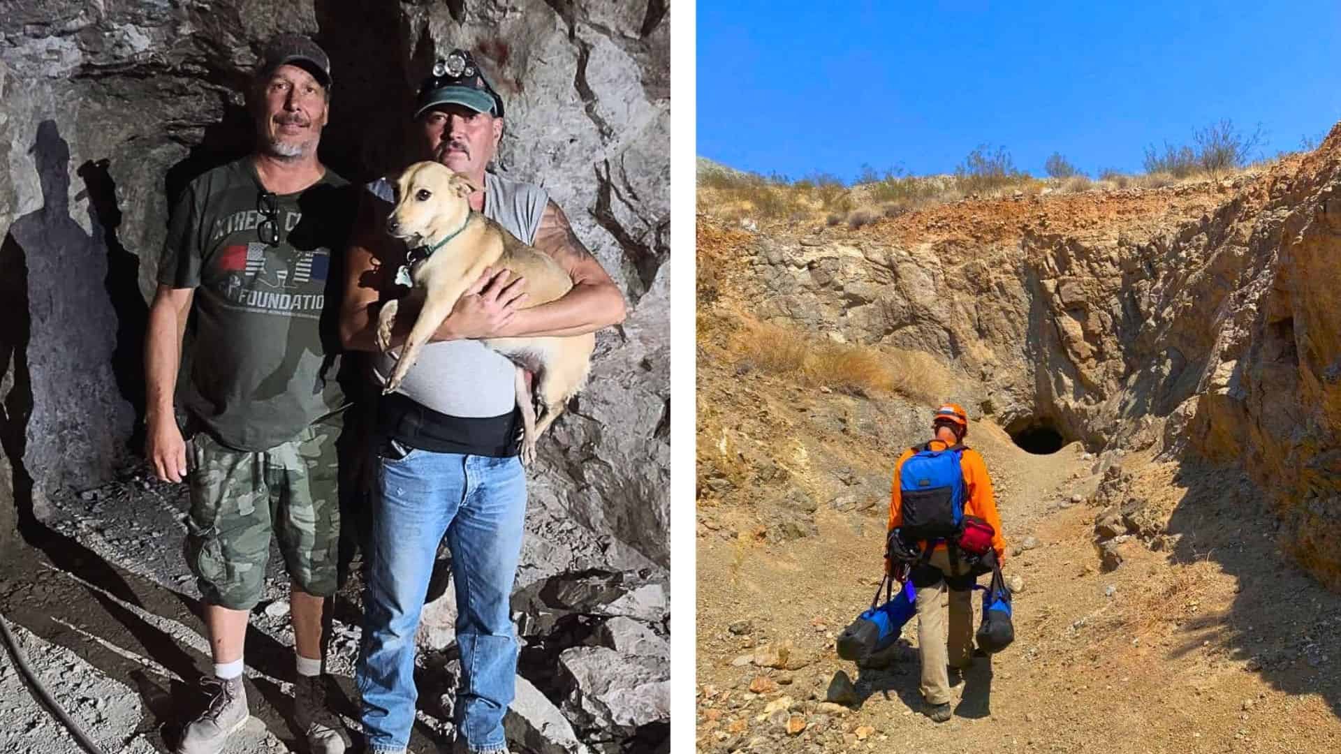 1-Year-old Dog Survives a 100-foot Fall Down a Mine Shaft in Arizona, Tricky Rescue Mission Follows