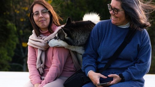 Why Some Dog Breeds Form Unbreakable Bonds with Their Human Families