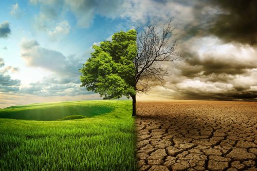 How Climate Change is Fuelling Deadly Heatwaves in North and Central America