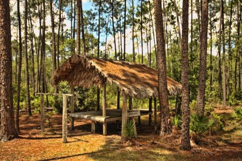 13 Places in America to Spot Rare Wildlife