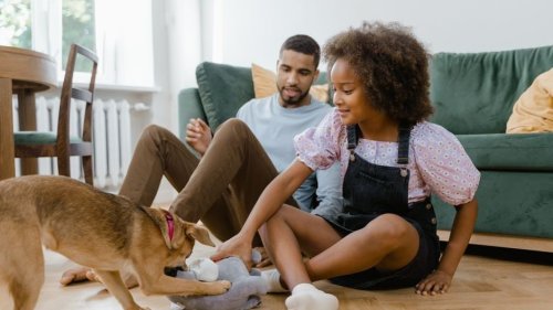 10 Things You're Doing That Make Your Dog Think You're the Weakest Pack Member - Animals Around The Globe