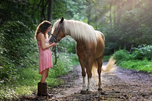 25 Signs Your Horse Is Happy and Healthy