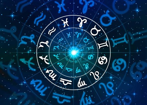 The Wild Animal That Embodies Your Zodiac Sign's Spirit