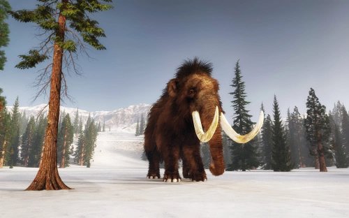4,000-Year-Old Woolly Mammoth Extinction Finally Explained by Scientists