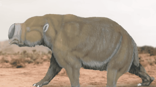 The Ancient and Legendary Megafauna of Australia