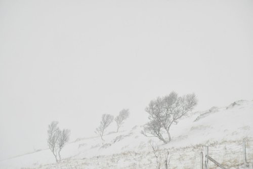The Arctic Wind Pattern That’s Bringing Cold Snaps to Texas