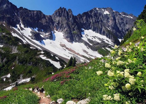 12 U.S. States With the Most Wildlife Sightings
