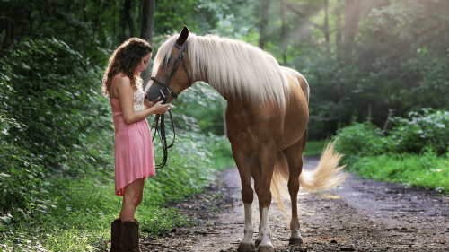 10 Extraordinary Animals Known for Their Healing Powers
