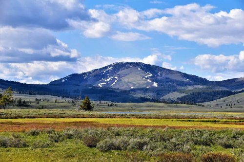 13 Most Mysterious Places Where Animals Rule in the U.S.