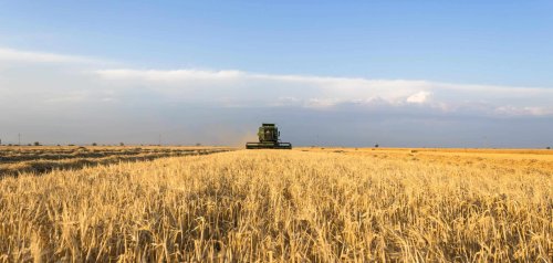 How Insects and Animals Support American Farmers