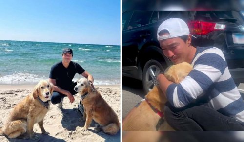 Neglected and Chained, the Arrival of An Actor Transformed This Dog's Life!