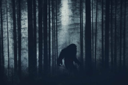 12 Mysterious Animal Sightings in the US That Have Never Been Explained
