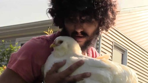 Man Born Without Eyes Wins Legal Twist About Emotional Support Chickens
