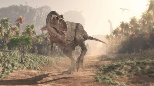 Brand New Tyrannosaurus Species Discovered In Mexico