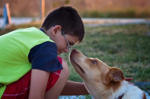 15 Weird Things Your Dog Actually Understands