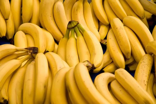 The Banana Is About to Go Extinct But There Might Be a Solution