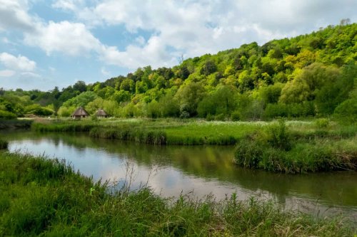 Are Nature Reserves Failing Their Conservation Mission?