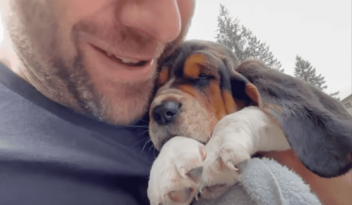 Guy Adopts Puppy Who Wouldn't Stop Crying And Gives Her A Bath