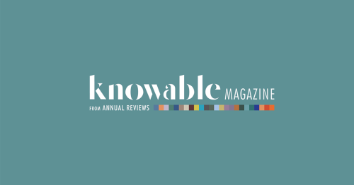 Knowable Magazine - cover