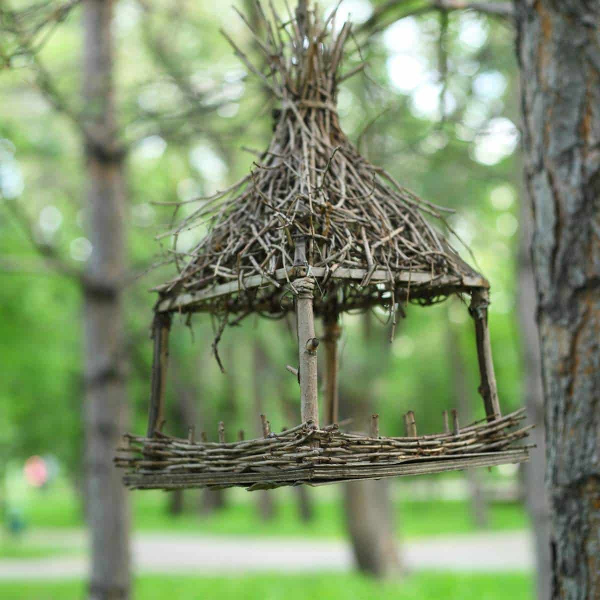 17 Ways to Make a Recycled Bird Feeder