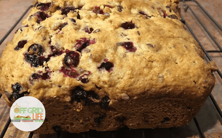 Healthy Cranberry Orange Loaf Recipe - An Off Grid Life