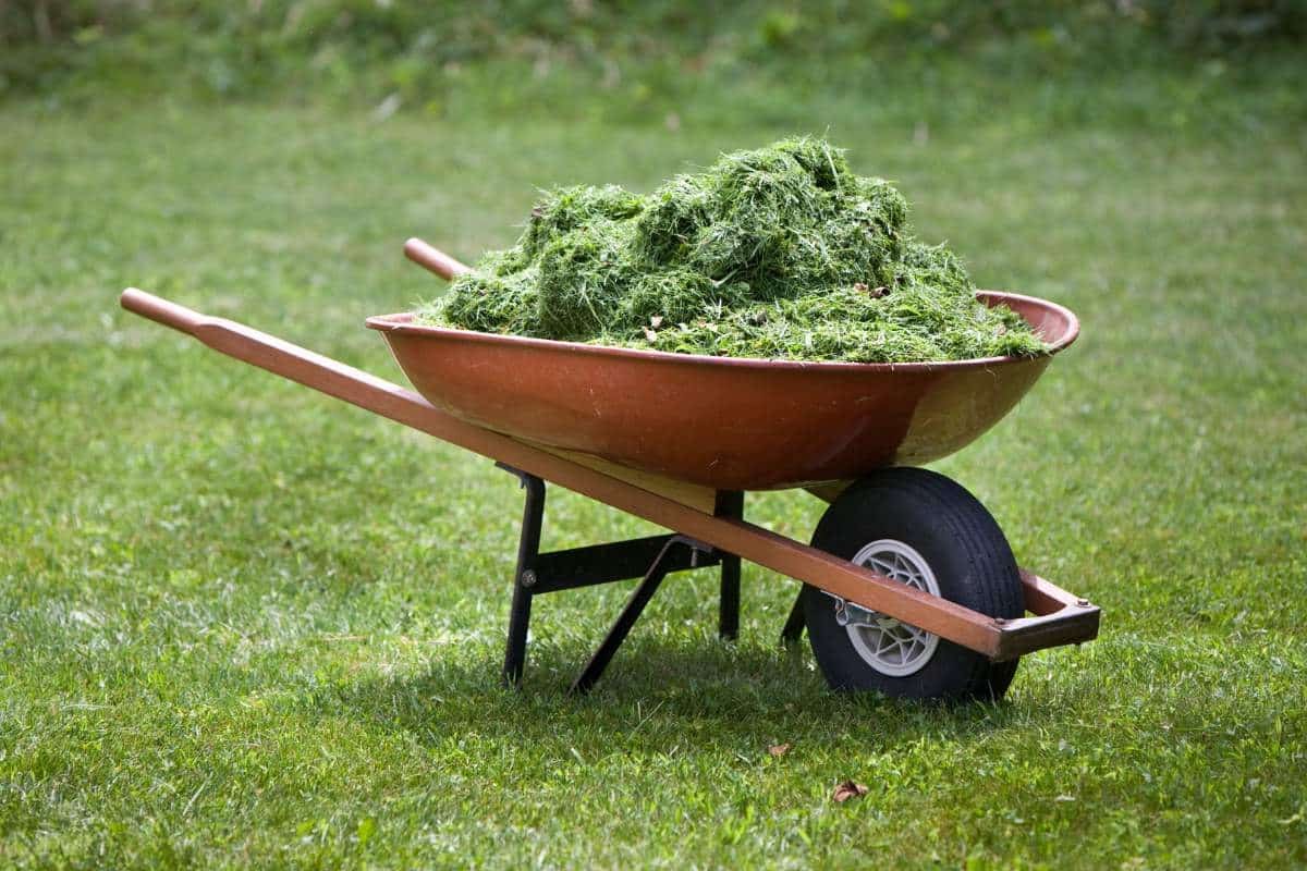 How to Make Homemade DIY Compost Starter