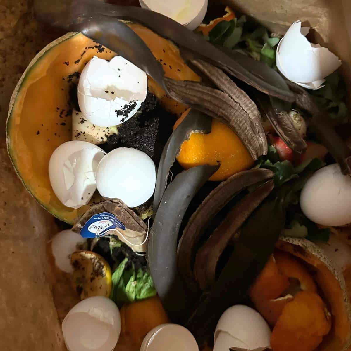 Easy Winter Composting Tips for Year-Round Success