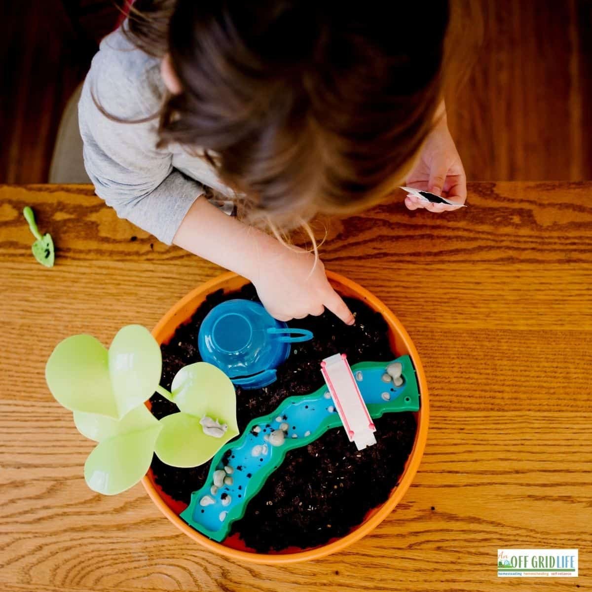 15 Fun DIY Garden Projects - An Off Grid Life