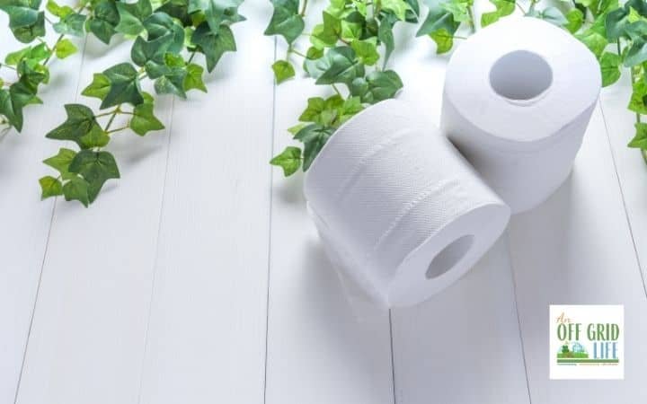 21 Toilet Paper Alternatives for When the TP is Gone - An Off Grid Life