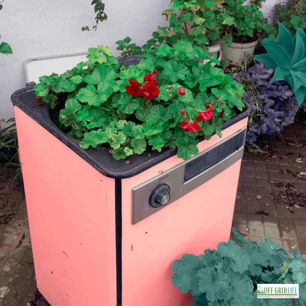 Things to Do With Used Appliances