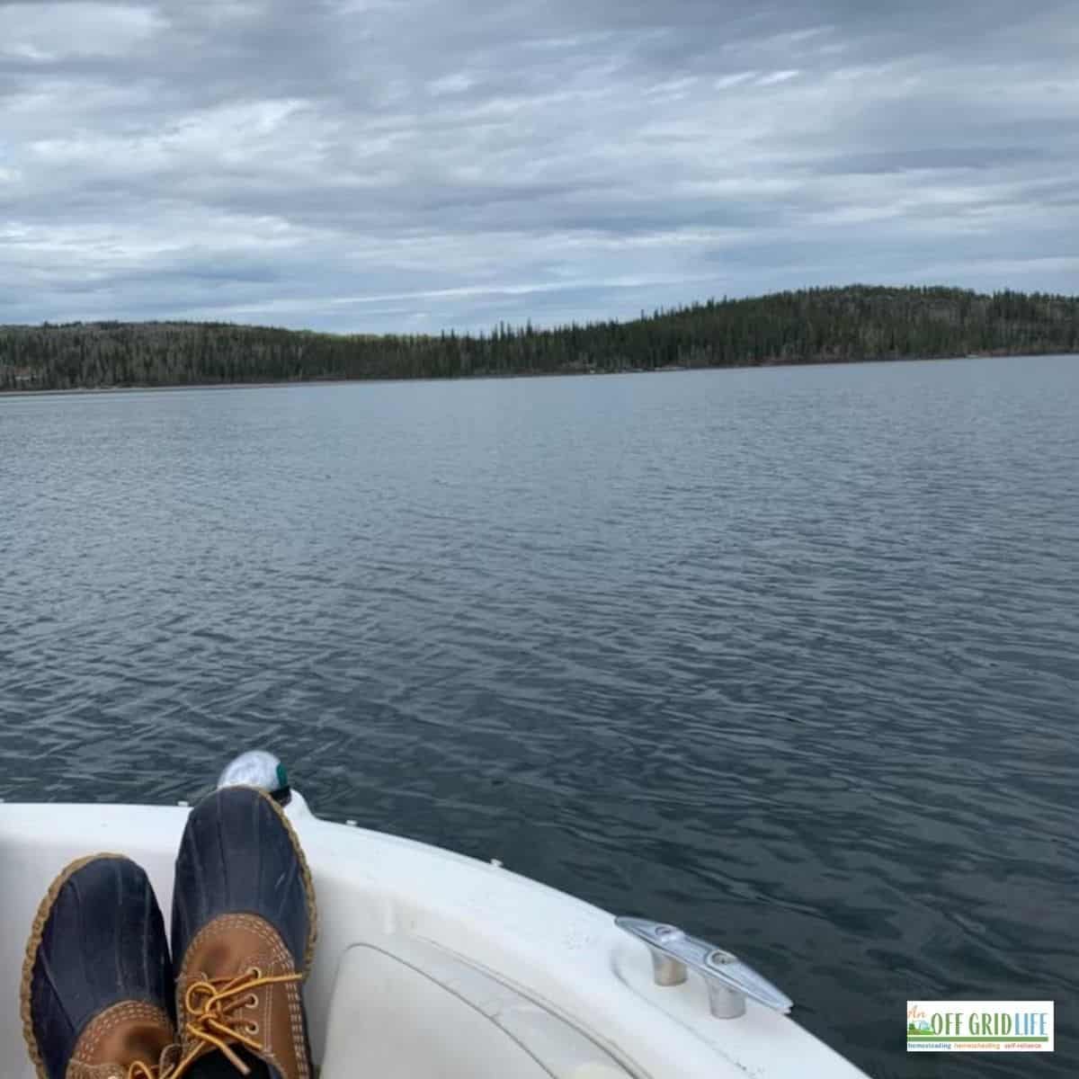 Off Grid Living Preparation: 10 Things To Do Now