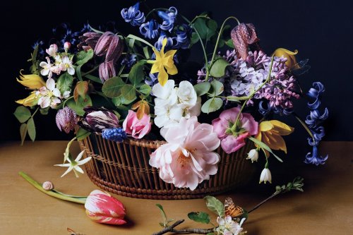 Modern perspectives in still life photography - Flipboard