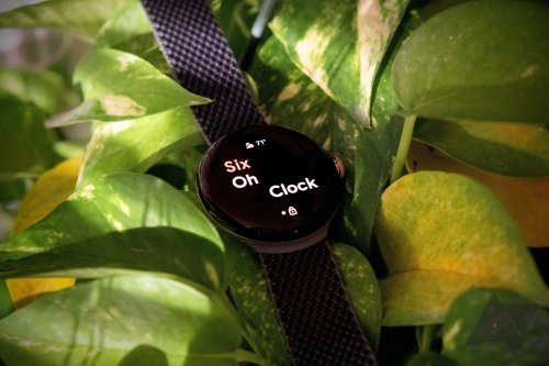 Google shares what to expect from the Pixel Watch app's first update of 2023