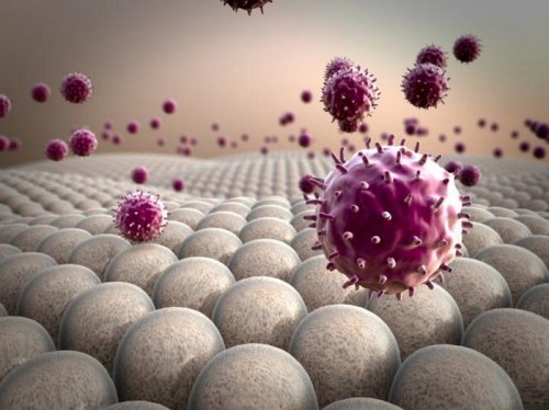 Cellule immunitarie rese 'fameliche' per aggredire i tumori  - Scienza & Tecnica