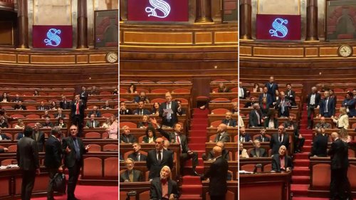 Nuova bagarre sul Manifesto di Ventotene, scontro anche al Senato - Notizie - Ansa.it